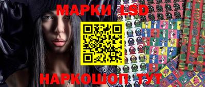 ALPHA PVP Гай