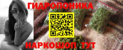 ALPHA PVP Гай
