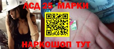 гидропоника Гагарин