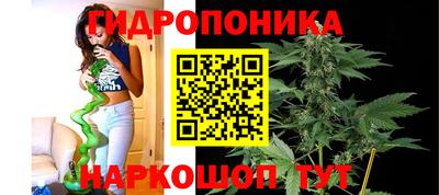 гидропоника Гагарин