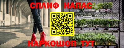 гидропоника Гагарин